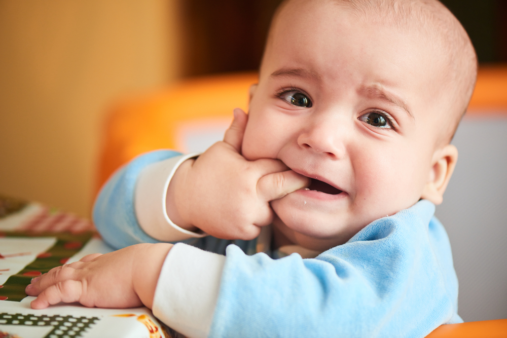 What You Need to Know About the Basics of Teething